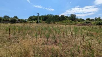Building plot in Vižinada next to the road with a sea view